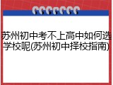 苏州初中考不上高中如何选学校呢(苏州初中择校指南)