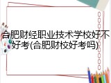 合肥财经职业技术学校好不好考(合肥财校好考吗)