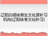 辽阳白塔体育生文化课补习机构(辽阳体考文化补习)