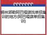锡林郭勒阿巴嘎旗找单招集训的地方(阿巴嘎旗单招集训)