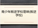 青少年叛逆学校是啥(叛逆学校)