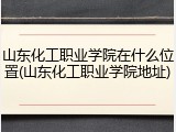 山东化工职业学院在什么位置(山东化工职业学院地址)