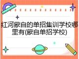 红河蒙自的单招集训学校哪里有(蒙自单招学校)