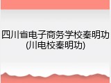 四川省电子商务学校秦明功(川电校秦明功)
