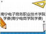 南宁电子商务职业技术学院学费(南宁电商学院学费)