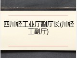 四川轻工业厅副厅长(川轻工副厅)