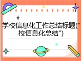 学校信息化工作总结标题("校信息化总结")