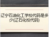 辽宁石油化工学校代码是多少(辽石化校代码)
