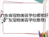 广东省宠物美容学校哪家好(广东宠物美容学校推荐)