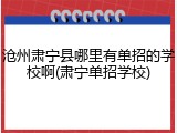 沧州肃宁县哪里有单招的学校啊(肃宁单招学校)