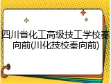 四川省化工高级技工学校秦向前(川化技校秦向前)