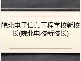 皖北电子信息工程学校新校长(皖北电校新校长)