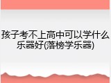 孩子考不上高中可以学什么乐器好(落榜学乐器)