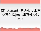阿勒泰布尔津县农业技术学校怎么样(布尔津农技校如何)