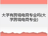 大学有跨境电商专业吗(大学跨境电商专业)
