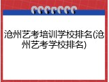 沧州艺考培训学校排名(沧州艺考学校排名)