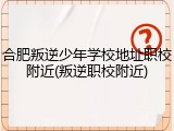 合肥叛逆少年学校地址职校附近(叛逆职校附近)