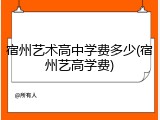 宿州艺术高中学费多少(宿州艺高学费)