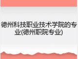 德州科技职业技术学院的专业(德州职院专业)