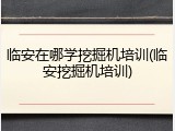 临安在哪学挖掘机培训(临安挖掘机培训)
