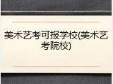 美术艺考可报学校(美术艺考院校)