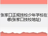 张家口正规技校少年学校在哪(张家口技校地址)