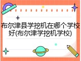 布尔津县学挖机在哪个学校好(布尔津学挖机学校)