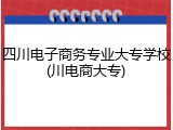 四川电子商务专业大专学校(川电商大专)