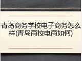青岛商务学校电子商务怎么样(青岛商校电商如何)