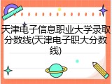 天津电子信息职业大学录取分数线(天津电子职大分数线)