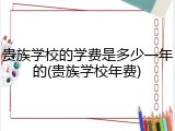贵族学校的学费是多少一年的(贵族学校年费)