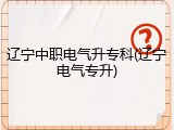 辽宁中职电气升专科(辽宁电气专升)