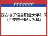 西安电子信息职业大学如何(西安电子职大怎样)