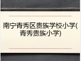 南宁青秀区贵族学校小学(青秀贵族小学)