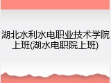 湖北水利水电职业技术学院上班(湖水电职院上班)