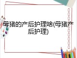 母猪的产后护理啥(母猪产后护理)