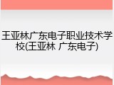王亚林广东电子职业技术学校(王亚林 广东电子)
