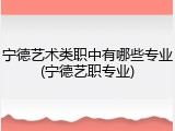 宁德艺术类职中有哪些专业(宁德艺职专业)