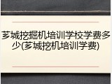 芗城挖掘机培训学校学费多少(芗城挖机培训学费)
