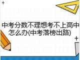 中考分数不理想考不上高中怎么办(中考落榜出路)