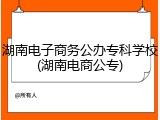 湖南电子商务公办专科学校(湖南电商公专)