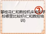 攀枝花仁和数控机床培训学校哪里比较好(仁和数控培训)