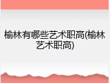 榆林有哪些艺术职高(榆林艺术职高)