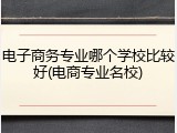 电子商务专业哪个学校比较好(电商专业名校)