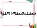 轻工局下属企业(轻工企业)
