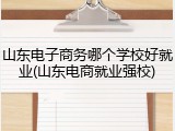 山东电子商务哪个学校好就业(山东电商就业强校)