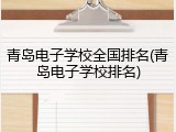 青岛电子学校全国排名(青岛电子学校排名)