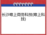 长沙唯上商务科技(唯上科技)