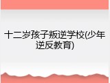 十二岁孩子叛逆学校(少年逆反教育)