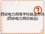 西安电力高等学校就业方向(西安电力高校就业)